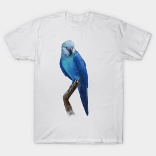 Blue Beauty T-Shirt